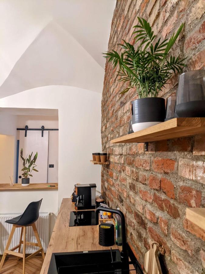 The Industrique Home - 3 Bedroom Apartment Timișoara Zewnętrze zdjęcie
